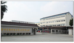 高效叔胺催化劑，確保聚氨酯材料固化后的優(yōu)異物理機(jī)械性能